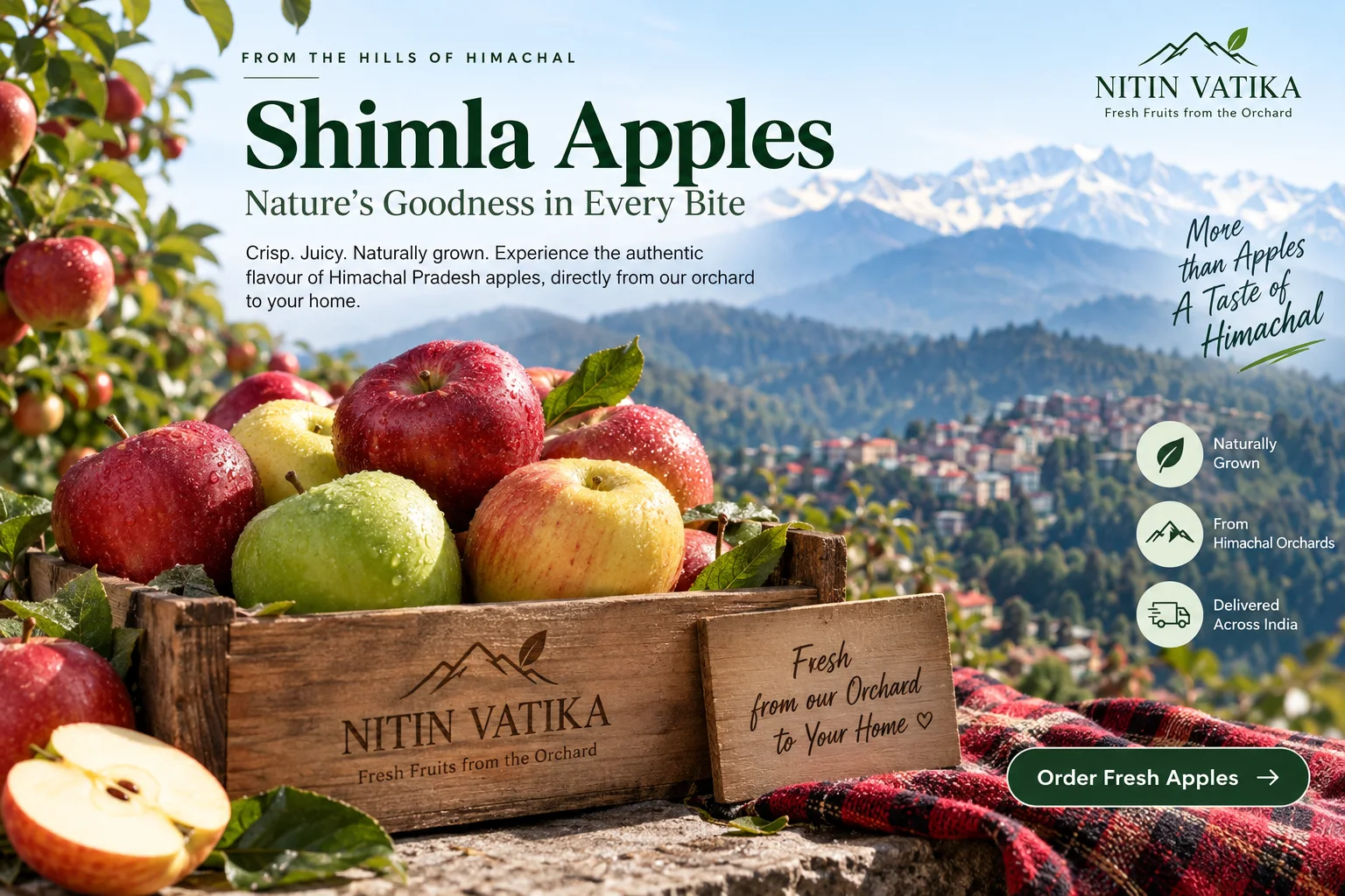 Fresh Shimla apples from Nitin Vatika’s Himachal orchard.