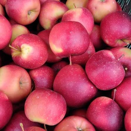 Sweet and juicy Red Golden apples