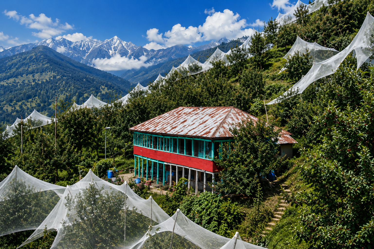 A panoramic view of Nitin Vatika featuring the orchard house, apple trees protected by anti-hail nets, and the scenic Himalayan landscape in Himachal Pradesh.